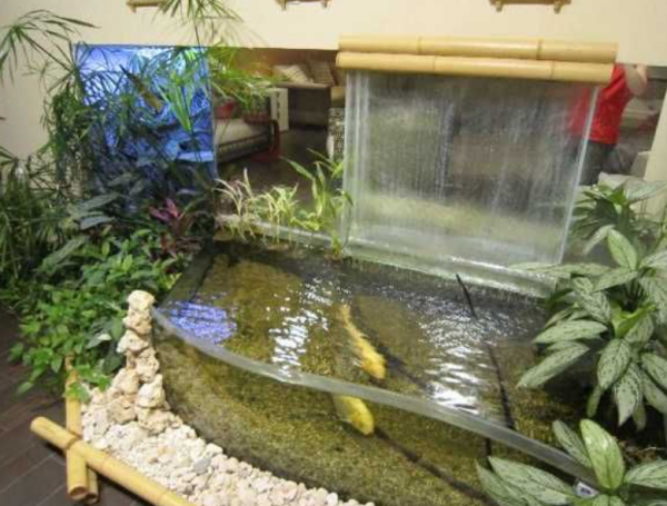Aquarium outdoor dengan desain taman Jepang dan kura-kura air